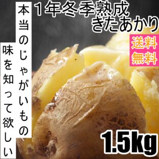 【送料無料】【厳選】＜じゅんいちさんの＞越冬1年熟成【極甘】きたあかり 1.5Kg