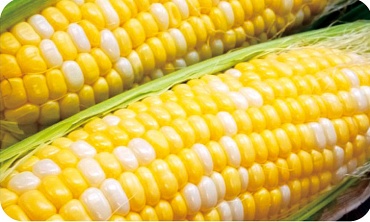 スーパーフルーツドルチェ