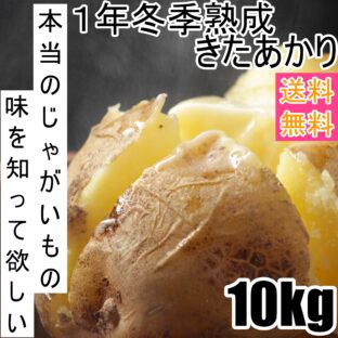 【送料無料】【厳選】＜じゅんいちさんの＞越冬1年熟成【極甘】きたあかり 10Kg