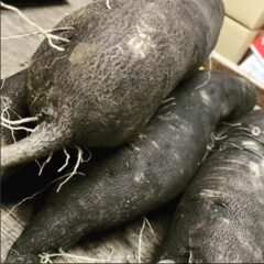 おでんに美味しい黒大根
