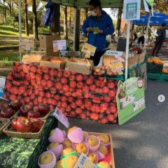 今月のマルシェ出店情報🍊