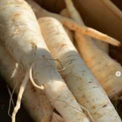 ルートパセリはじゃがいも＋にんじん＋ごぼう＋パセリ