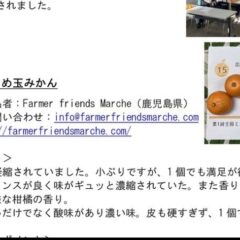 ★あめ玉みかん🍊が日本一🥇のみかんに選ばれました㊗️