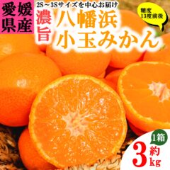 みかんで有名な愛媛県八幡浜の小玉みかんが入荷しました