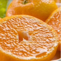 12月のマルシェ出店情報🍊