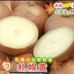 食の世界遺産に認定〜幻の札幌黄玉ねぎ〜がTV📺で紹介されました