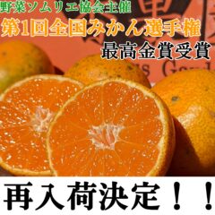 【再入荷】日本一の温州みかん　鹿児島県 出水産の「あめ玉みかん」再入荷しました!!