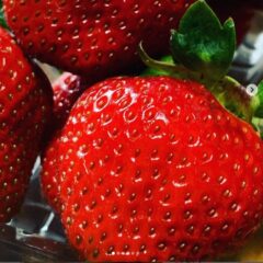 ★食べ応え抜群🍓 さつまおとめいちご🍓