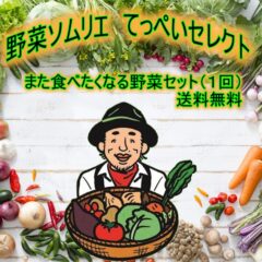 【野菜ソムリエ てっぺいセレクト】また食べたくなる野菜セットを紹介します