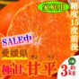 非公開: （送料無料・旬のみかん）TVでも紹介された話題の愛媛県産 蜜柑 甘平（かんぺい）3kg　家庭用