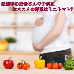 妊娠中のお母さんとお腹の中の赤ちゃんにおススメのお野菜はミニトマト？