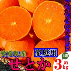 【セール実施中】糖度15度前後のめちゃ甘みかん 愛媛県産せとか販売中!!