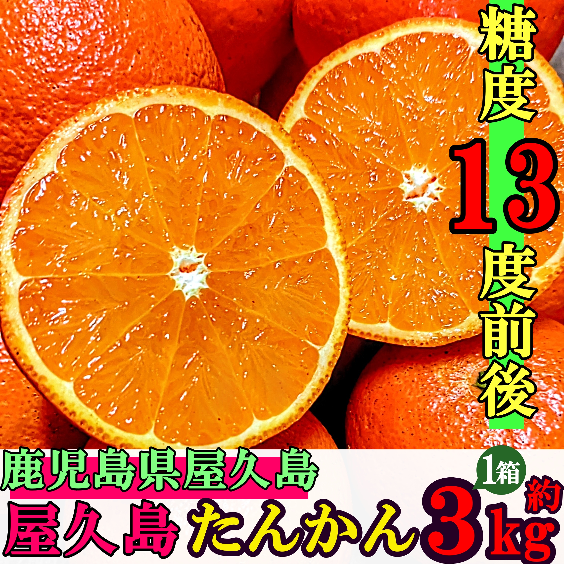 非公開: 【みかん・家庭用】自然の宝庫 屋久島が生み出した 糖度13度前後の極甘 屋久島たんかん 3kg 【送料無料・フルーツ】