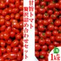 非公開: 【送料無料】＜ゆういちさん＞自慢の甘い！旨い!! 2種のミニトマト詰め合わせセット　1kg