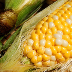 生産者がごく僅か!!希少なトウモロコシ　ドルチェドリーム入荷しました