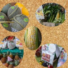 ファーマーズマルシェ in KUZUHA MALL　2022/06/19