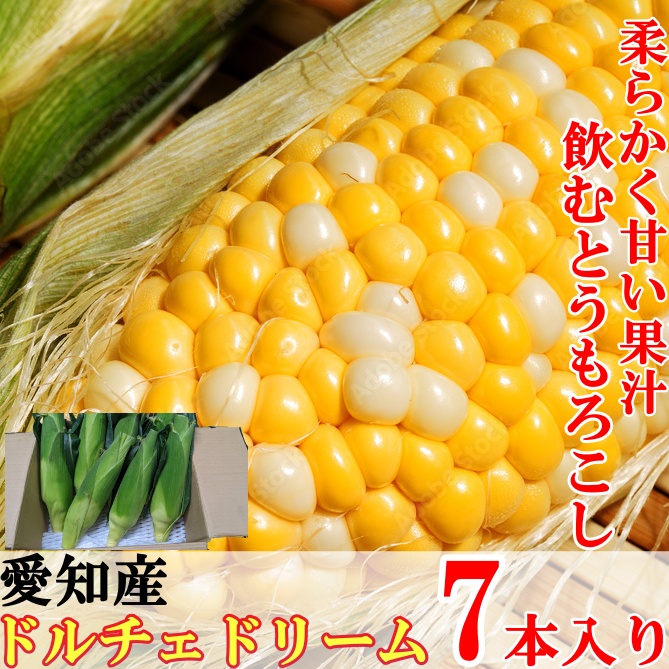 非公開: 【送料無料・とうもろこし】生でも食べられる!! 糖度18度前後 ドルチェドリーム 愛知産 7本