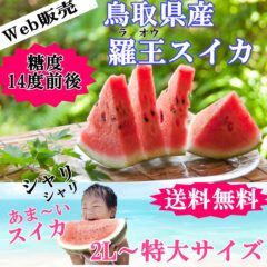 今話題のめちゃ甘スイカ!! 羅王/羅皇(らおう)スイカが入荷しました。