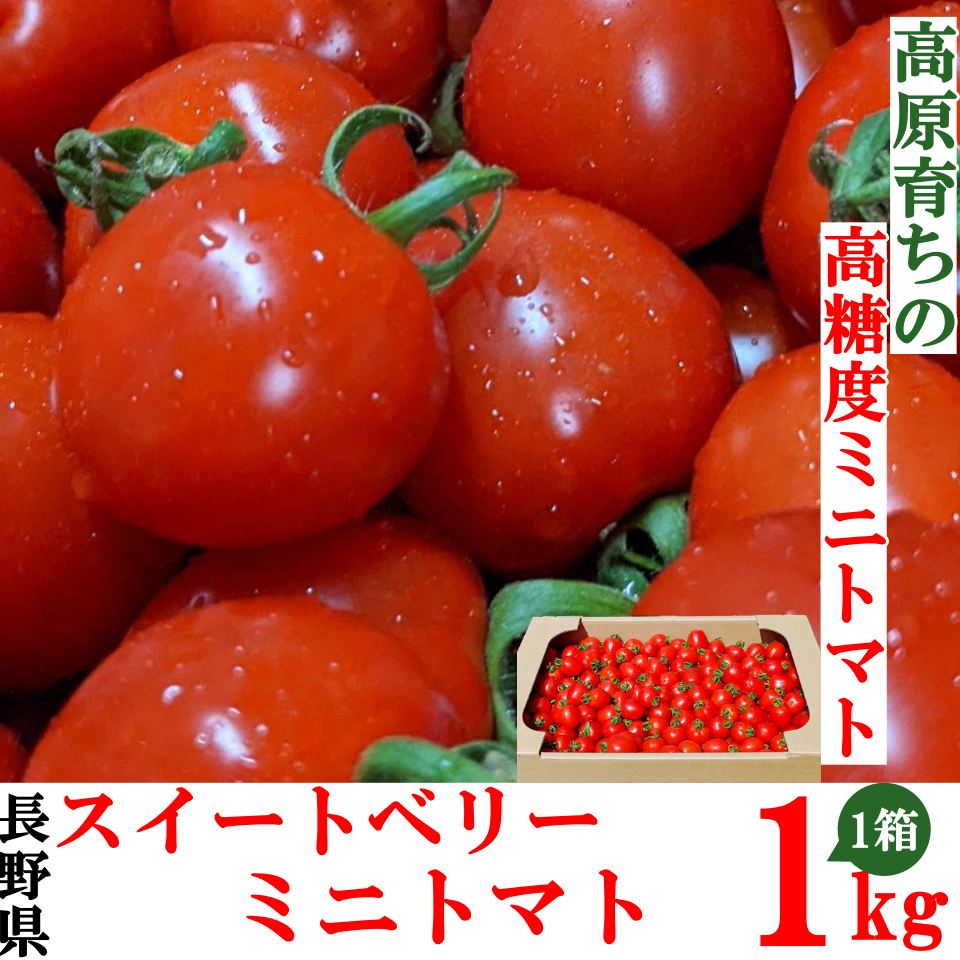 【送料無料】 高糖度ミニトマト  糖度10度前後  スイートベリーミニトマト 1kg 長野県産