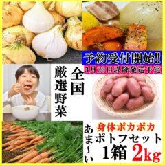 【予約受付開始】からだ温まる最高のポトフにおススメの野菜セット