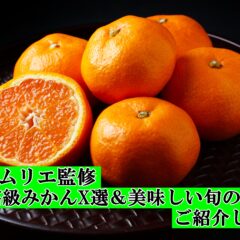 野菜ソムリエ監修!!高級温州みかん!!高糖度ランキング