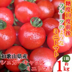 ついつい食べちゃう夢中のあま~いミニトマト 糖度10度前後シュガーキャロルミニトマト
