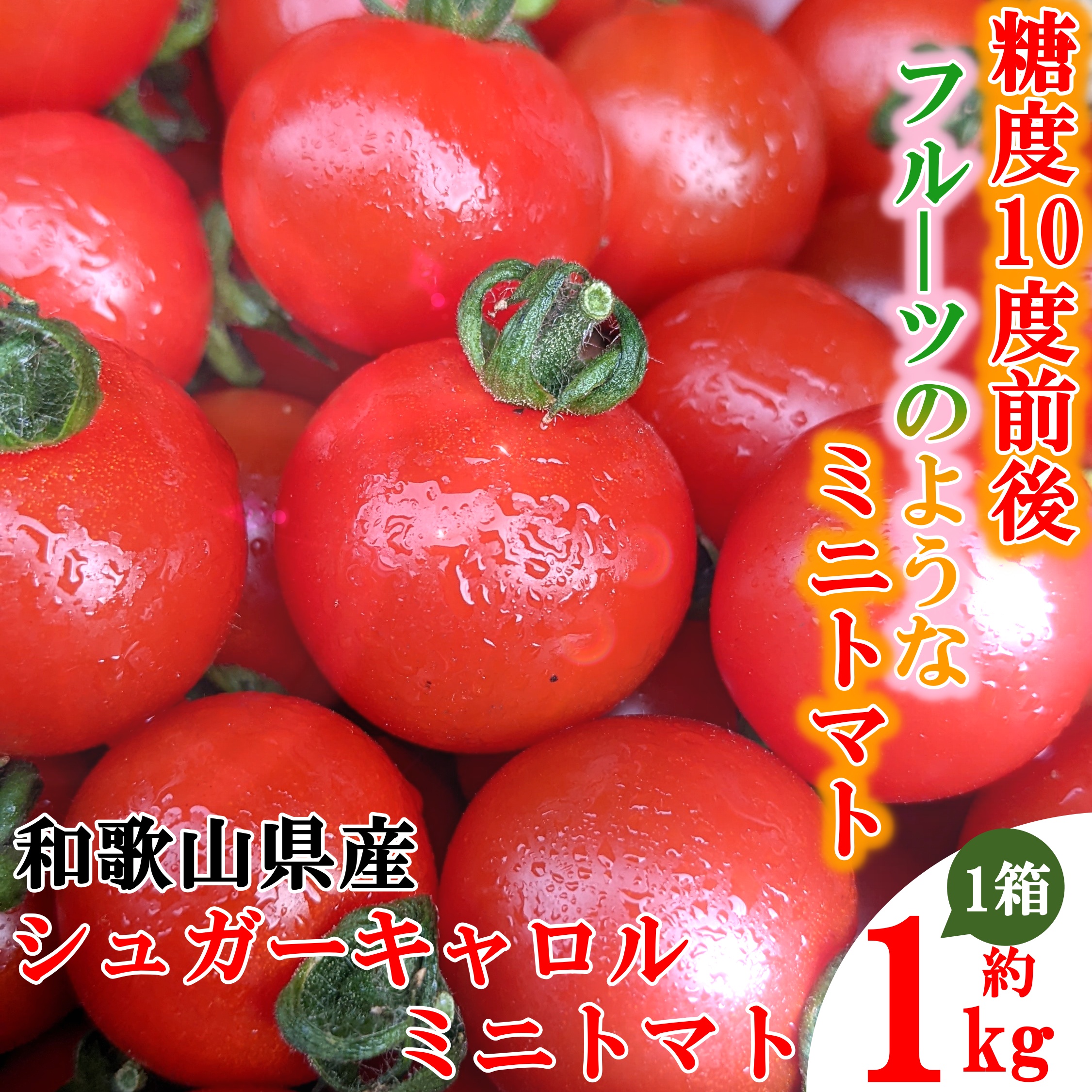 1kg　高知県日高村　驚きの価格　シュガートマト　ふるさと納税　ビアンコ08（糖度8度以上）　高糖度　フルーツトマト