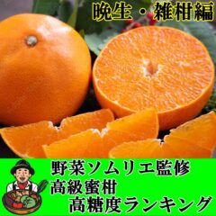 野菜ソムリエ監修!!温州みかんより美味しい高級蜜柑糖度ランキング~せとか・甘平も出るよ♪~