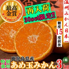 【限定販売】第1回全国ミカン選手権最高金賞受賞 あめ玉みかん 再入荷♪