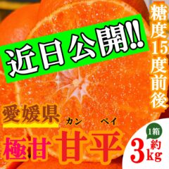 【近日販売】人気急上昇の高級みかん TVでも紹介された甘平(かんぺい)