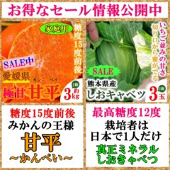 【セール開催中】みかんの王様 甘平 愛媛県産・めちゃ甘!!しおきゃべつ熊本県産