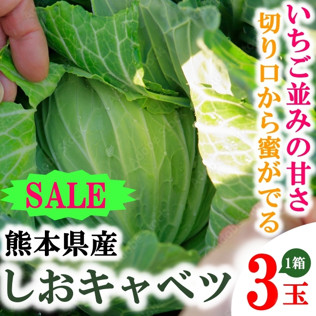 非公開: 【送料無料・料理におススメ】子供も喜ぶ糖度１２度前後の甘いしおきゃべつ　熊本県産　3玉入り