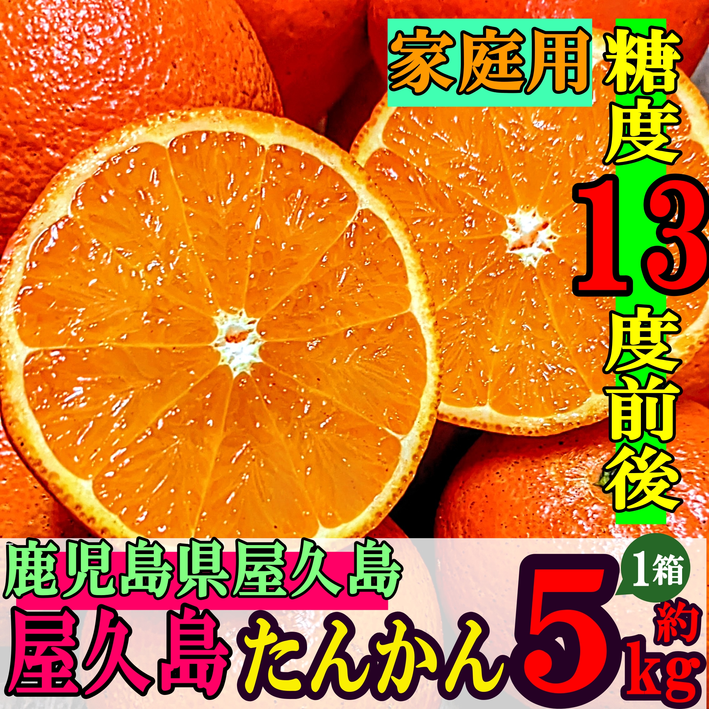 非公開: 【みかん・家庭用】自然の宝庫 屋久島が生み出した 糖度13度前後の極甘 屋久島たんかん 5kg 【送料無料・フルーツ】