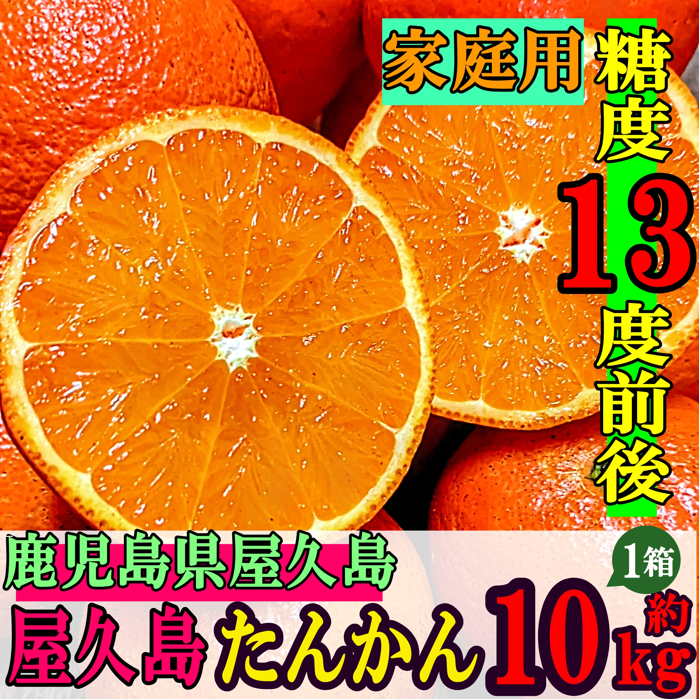 非公開: 【みかん・家庭用】自然の宝庫 屋久島が生み出した 糖度13度前後の極甘 屋久島たんかん 10kg 【送料無料・フルーツ】