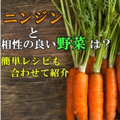 人参と相性の良い野菜は?簡単レシピも合わせてご紹介します。