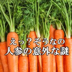 【雑学・人参】人参の根にカロテンが多量に含まれている謎