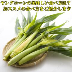 小さいとうもろこし？ヤングコーンってどうやって食べるの？