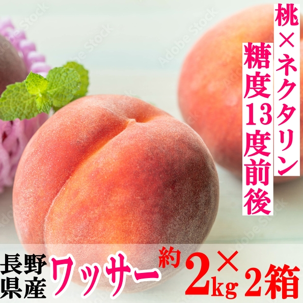 非公開: 【送料無料・桃】糖度13度前後 桃好きに食べて欲しい!!ワッサー 約2kg×2箱