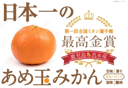 高知県産 四万十みかん【eGift】|デジタルギフト・ソーシャル