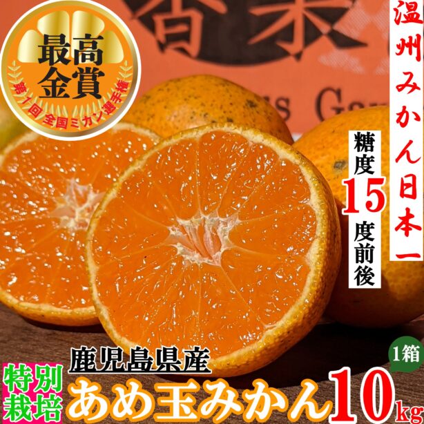 【特別栽培】第一回全国ミカン選手権最高金賞受賞★糖度15度前後★激甘★完熟収穫★甘い★濃甘あめ玉みかん 10kg +傷み保障約500g(8~10玉)【送料無料】沖縄・北海道・離島除く