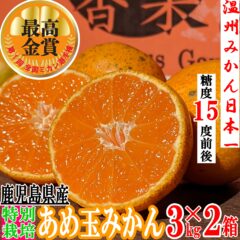 【特別栽培】第一回全国ミカン選手権最高金賞受賞★糖度15度前後★激甘★完熟収穫★甘い★濃甘あめ玉みかん 3kg×2箱+傷み保障 約400g(6~8玉)【送料無料】沖縄・北海道・離島除く