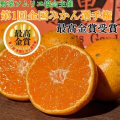 第一回全国ミカン選手権最高金賞受賞★【2025年11月24日より、販売スタート！】糖度15度前後★激甘★完熟収穫★甘い★濃甘あめ玉みかん 6kg＋傷み保障 約400g(6～8玉)【送料無料】沖縄・北海道・離島除く
