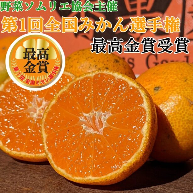 第一回全国ミカン選手権最高金賞受賞★【2025年11月24日より、販売スタート！】糖度15度前後★激甘★完熟収穫★甘い★濃甘あめ玉みかん 6kg＋傷み保障 約400g(6～8玉)【送料無料】沖縄・北海道・離島除く